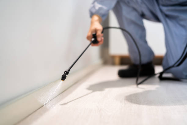 Licensed Fumigation Services service in Chittenden County County, VT - Nex Pest Control